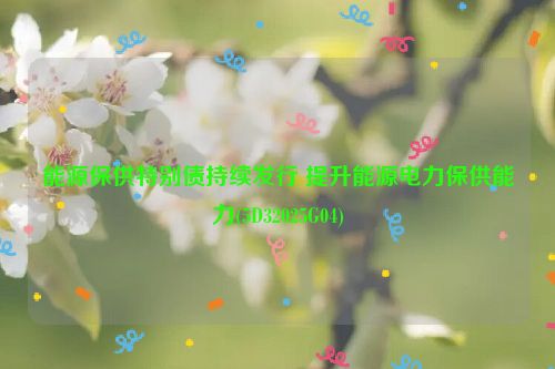 能源保供特别债持续发行 提升能源电力保供能力(5D32025G04)