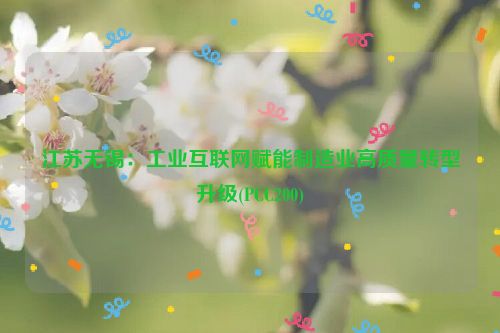 江苏无锡：工业互联网赋能制造业高质量转型升级(PCC200)