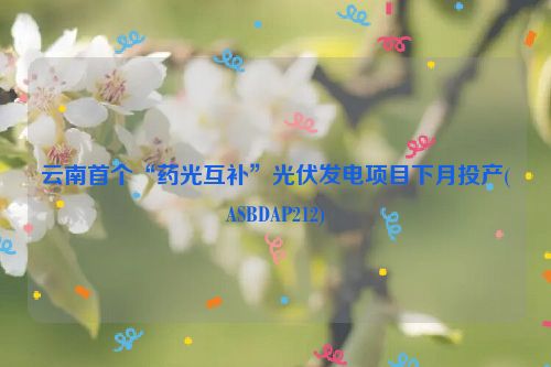 云南首个“药光互补”光伏发电项目下月投产(ASBDAP212)