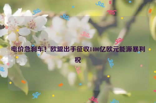 电价急刹车！欧盟出手征收1400亿欧元能源暴利税
